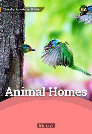 Animal Homes